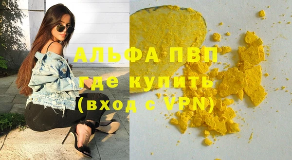 гидра Володарск