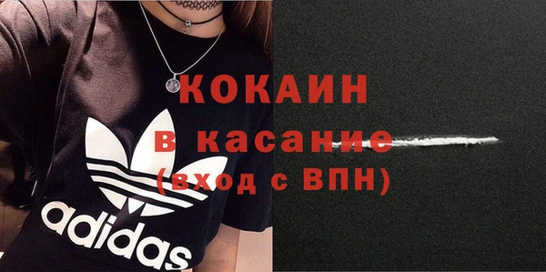 гидра Володарск