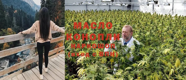 гидра Володарск