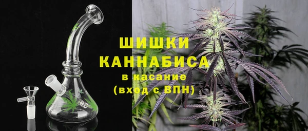 гидра Володарск