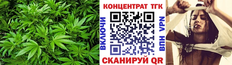 мориарти наркотические препараты  hydra ТОР  Дистиллят ТГК жижа  Петушки  хочу наркоту 