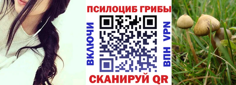 Галлюциногенные грибы Psilocybine cubensis  Петушки 